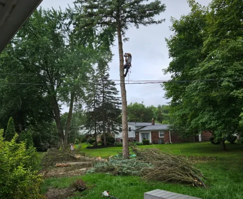 storm damage cleanup services