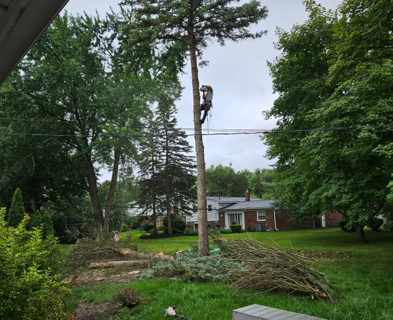 storm damage cleanup services