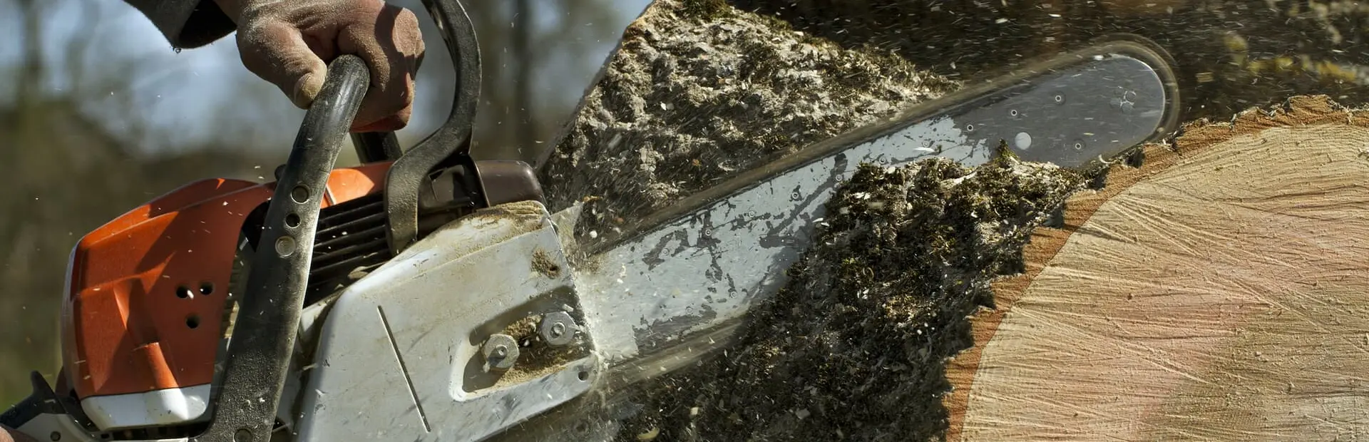 stump grinding services breadcrumb